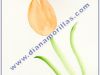 B_24-tulipan_cerrado_amarillo_gualda_20_x_15cm